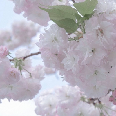 Furry绘画质感提升兽圈群